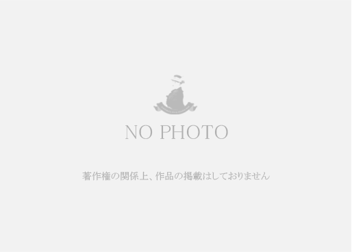 NO　PHOTO